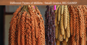 Different types of Millets: Small Grains, BIG GAINS!!
